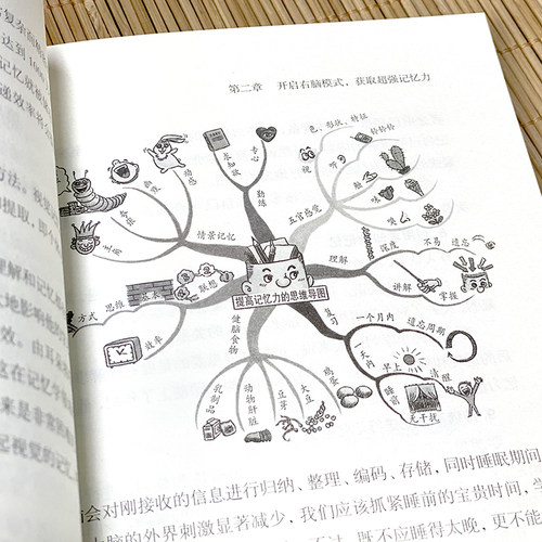 正版5册 超级记忆术 思维导图 最强大脑 思维风暴高效提升脑力快速有效的左右脑潜能智力脑力开发技巧书籍畅销书 - 图3