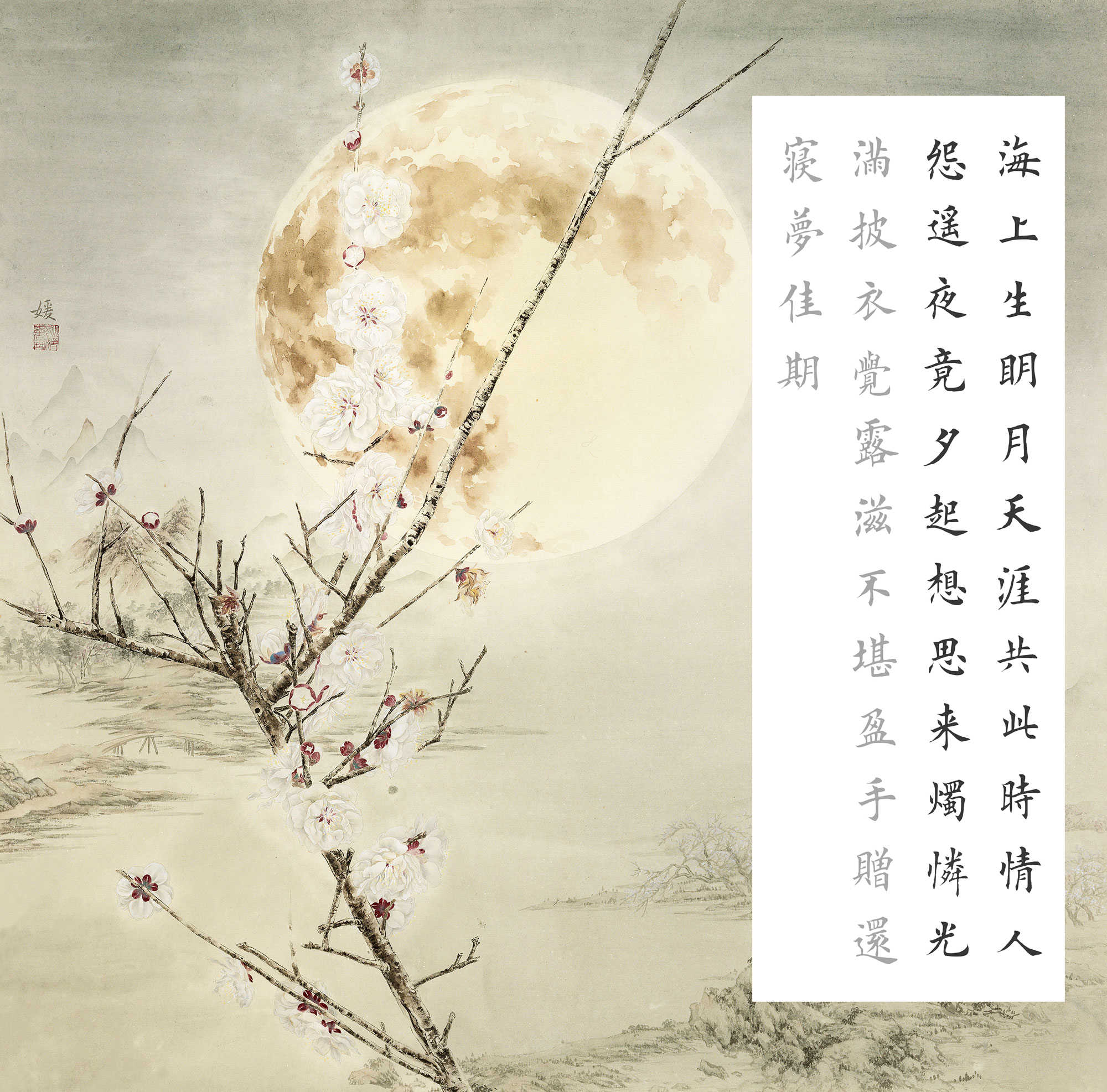 望月纸 新人首单立减十元 21年8月 淘宝海外