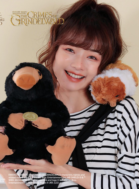 正版哈利波特毛绒玩具可爱猫头鹰娃娃玩偶摆件卡通周边公仔短毛绒