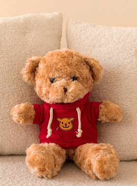 批发毛绒玩具泰迪熊玩偶毛衣小熊公仔生日礼物毛绒娃娃批货摆摊