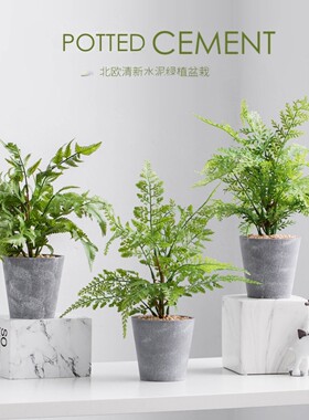 北欧ins仿真植物装饰花风小摆件客厅桌面盆栽家居室内假绿植盆景