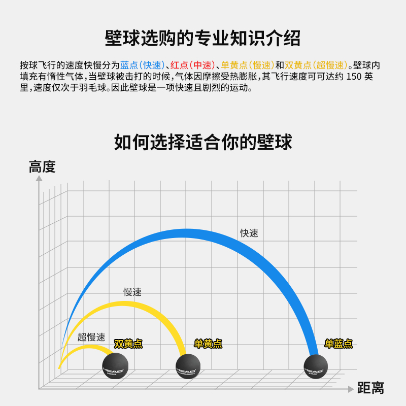 head海德壁球单颗初学/进阶训练/专业比赛黄点双黄点赛事训练壁球 - 图1