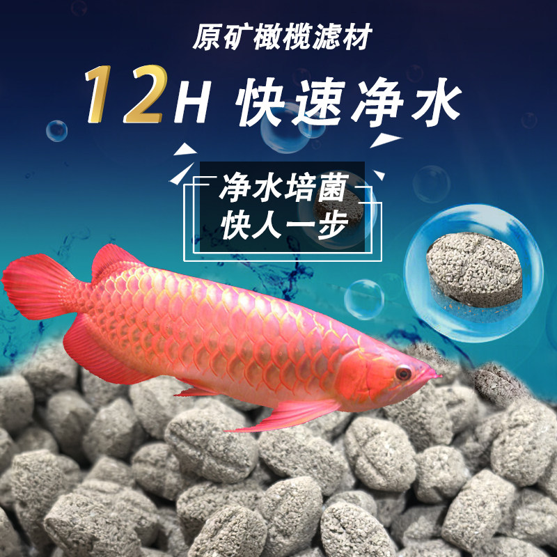 橄榄球过滤滤材原矿球胶囊鱼缸专用净水培菌细菌屋生化过滤石英球,淘宝优惠券,粉丝福利购,淘宝优惠卷