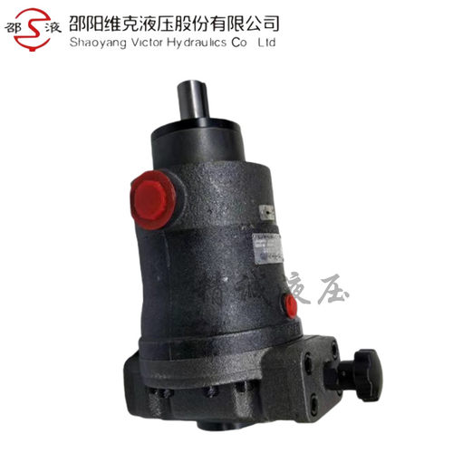 邵阳维克液压SY-10/25/32/40/63/80/100SCY14-1E/EL/B 轴向柱塞泵 - 图0