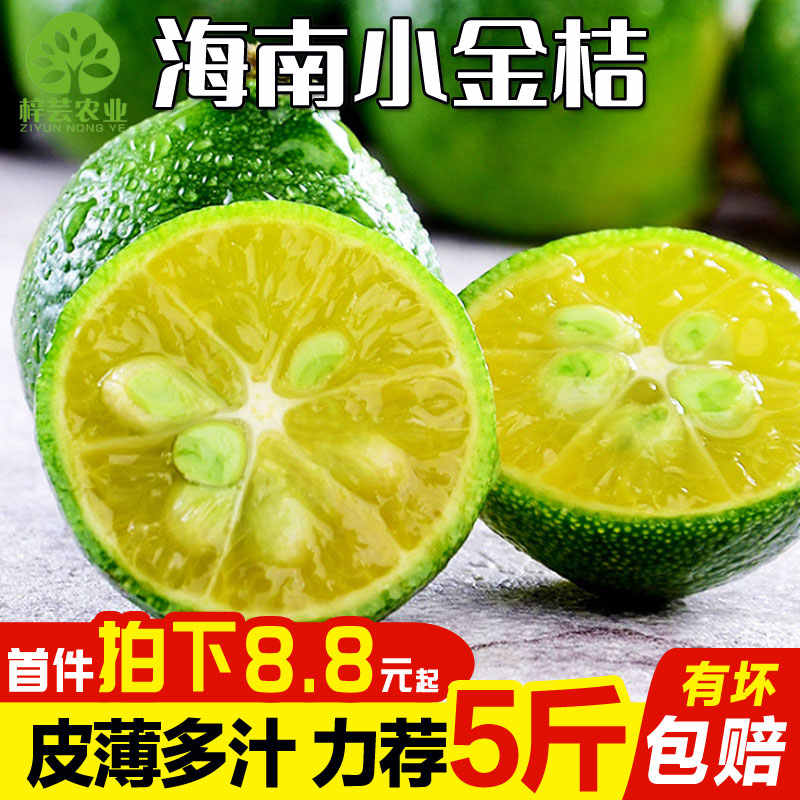 绿小青柠 新人首单立减十元 21年9月 淘宝海外