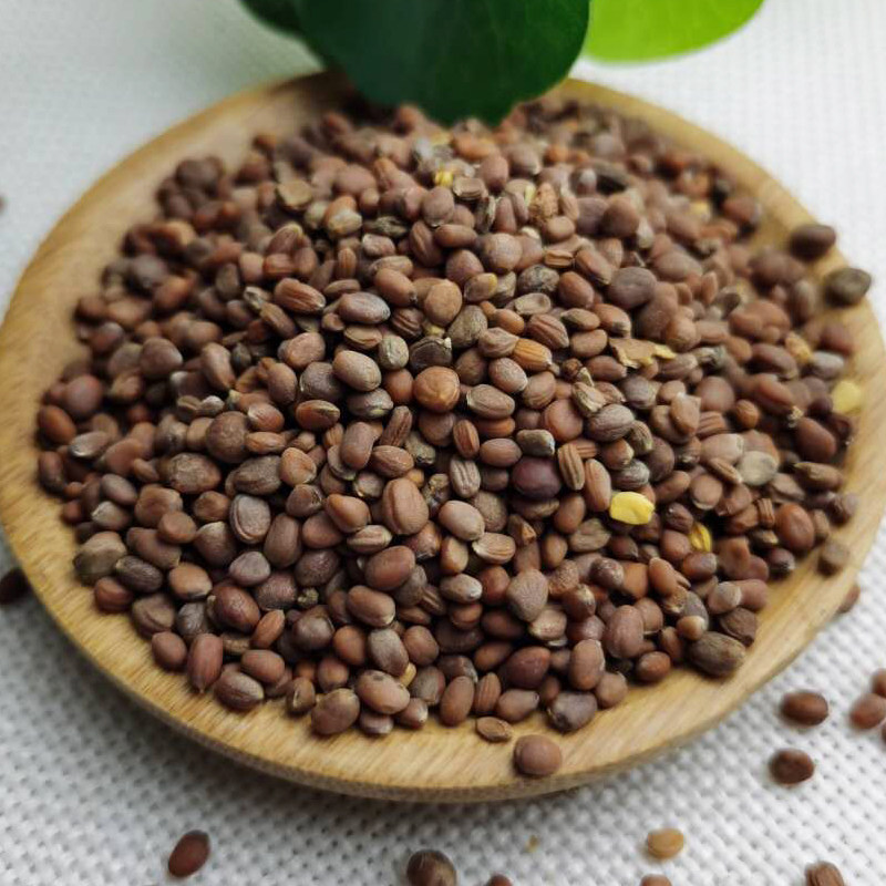 莱菔子500克包邮 中药材卜子萝卜籽 芦菔子 罗白子,菜头子