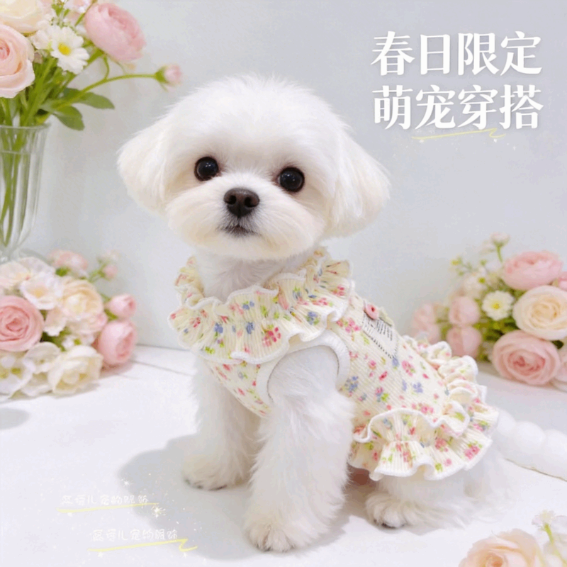 商品缩略图 3