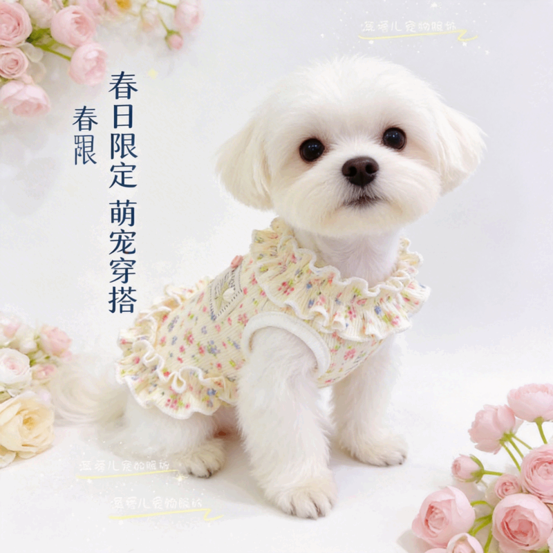 商品缩略图 1
