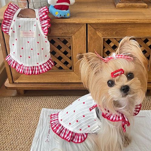 敲美的小裙子!清新可爱小型犬泰迪比熊猫咪博美碎花连衣裙春夏装 - 图1