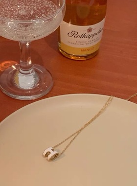 小众高级H字母通体钛钢项链女气质百搭毛衣链锁骨链网红配饰颈链