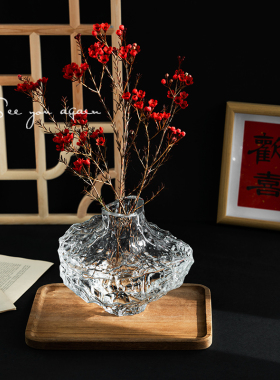花瓶设计感小众玻璃透明轻奢高级感客厅插花雪柳干枝水养创意摆件