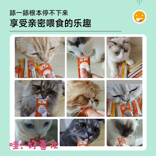宽福 CAT 100 Полные коробки с кошками и закусками для кошек