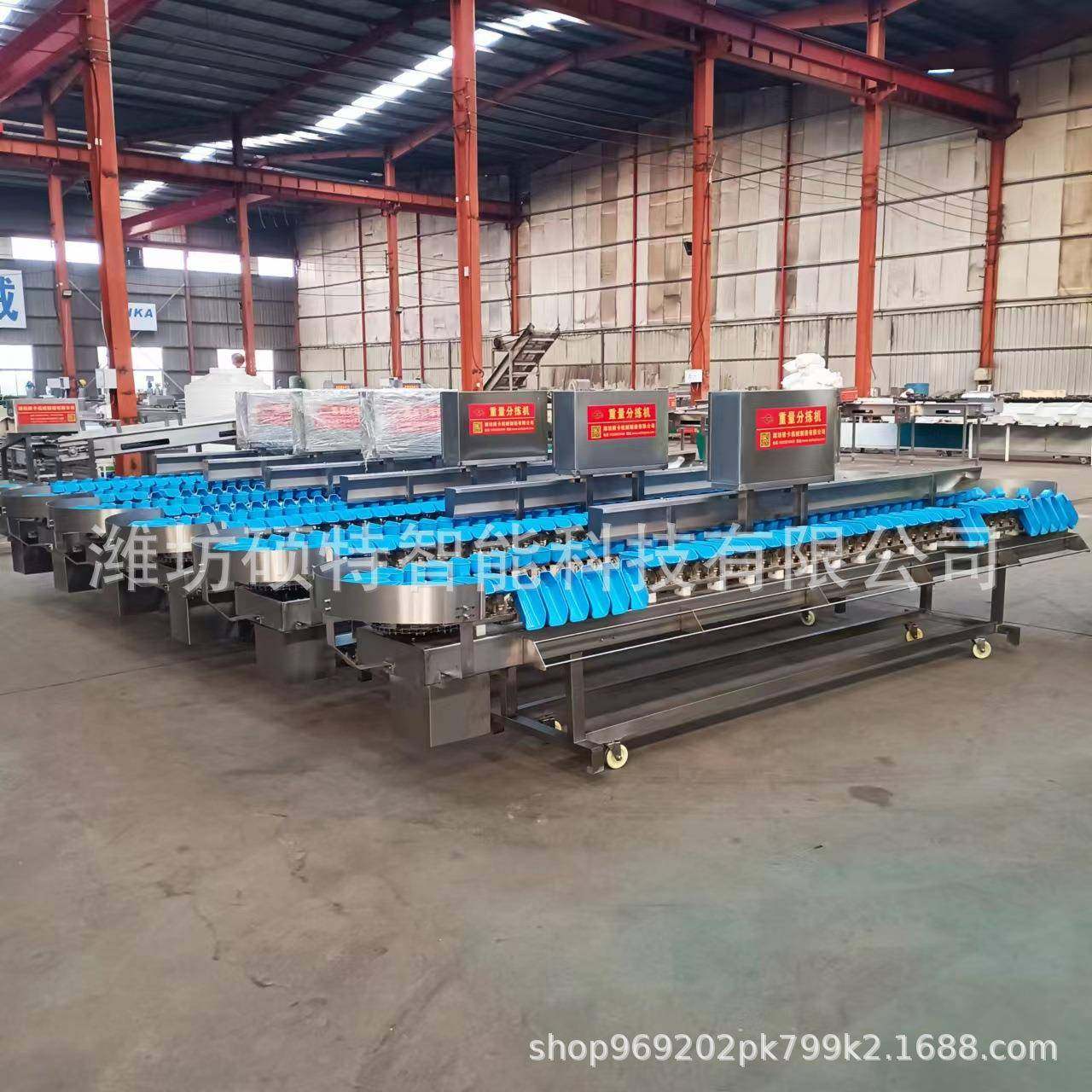 鱿鱼翻盘式分拣机 海参自动分级机 连续式鲳鱼分选流水线设备,淘宝优惠券,粉丝福利购,淘宝优惠卷