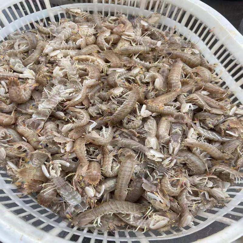 工业大型连续式油炸机全自动鱼豆腐油炸流水线皮皮虾高温油炸设备,淘宝优惠券,粉丝福利购,淘宝优惠卷