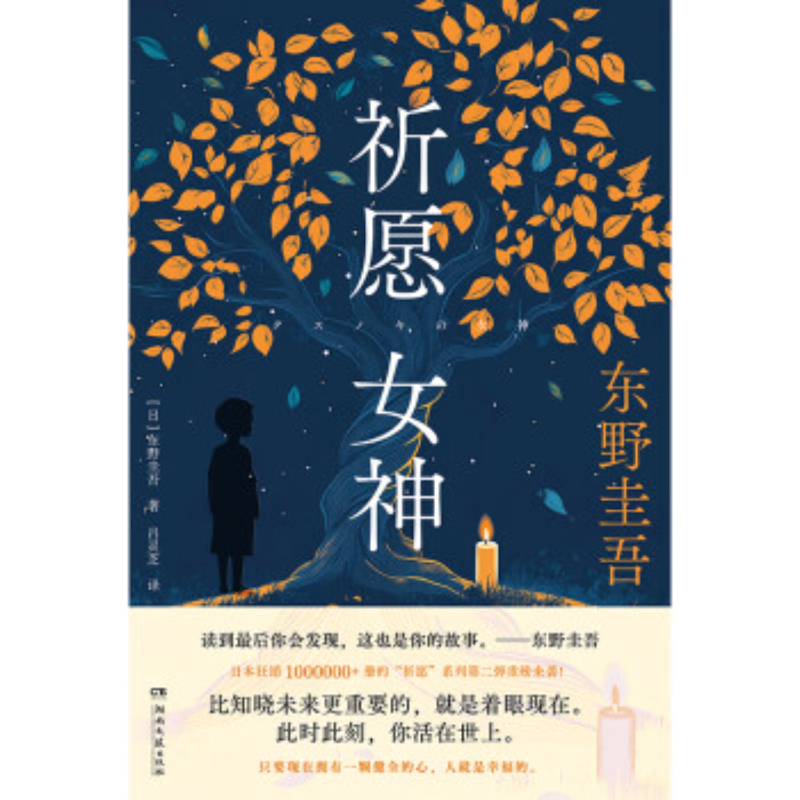 祈愿女神 东野圭吾重磅新作 祈念守护人同作者祈愿系列第二弹 你杀了谁无凶之夜彷徨之刃 假面游戏 白鸟与蝙蝠 祈祷落幕时小说 - 图0