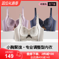 Rain Van adjustment Type of underwear Women small breasts gather to collect the breast bra straightening autumn and winter mid-thick anti-sagging bra