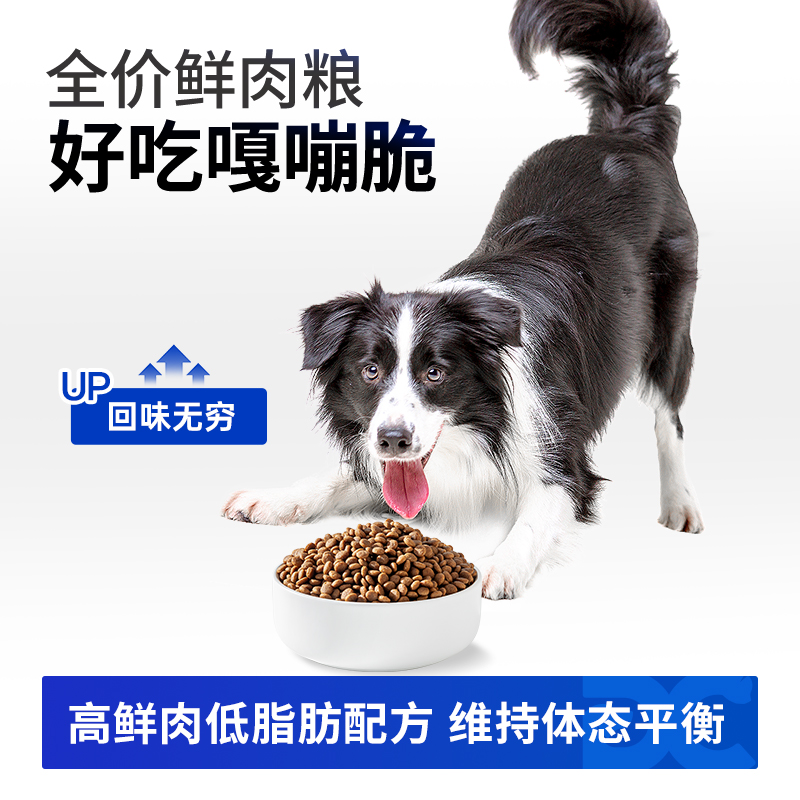 豆柴老年犬成犬泰迪狗狗金毛中大小型犬呵护老年关节狗粮1.5kg
