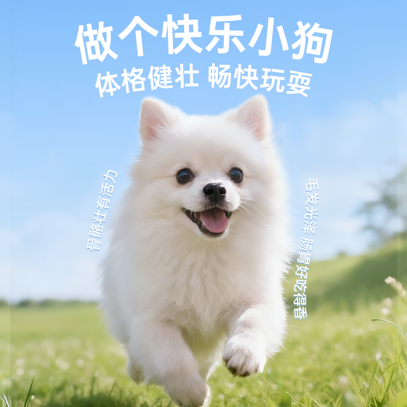 豆柴三拼通用型狗粮蛋黄鸡肉泰迪博美柯基中小型成幼犬肠胃鲜肉粮,淘宝优惠券,粉丝福利购,淘宝优惠卷