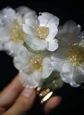 梨花梨花开离别·荼蘼•古风发簪•树脂•簪子