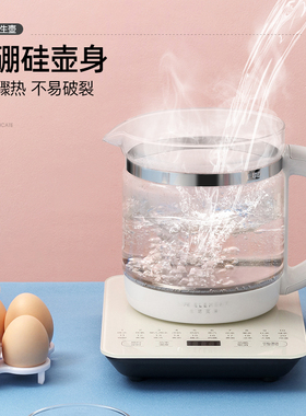 养生壶多功能花茶保温全自动