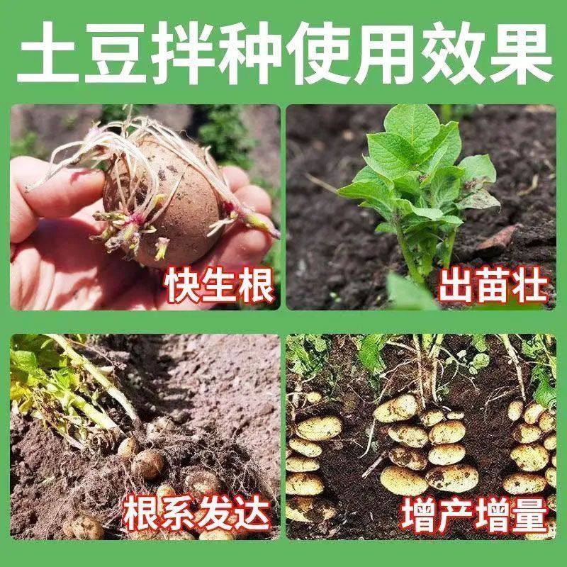 土豆拌种剂防病抗菌防虫高产包衣剂提高出芽率生根壮苗增产肥料,淘宝优惠券,粉丝福利购,淘宝优惠卷