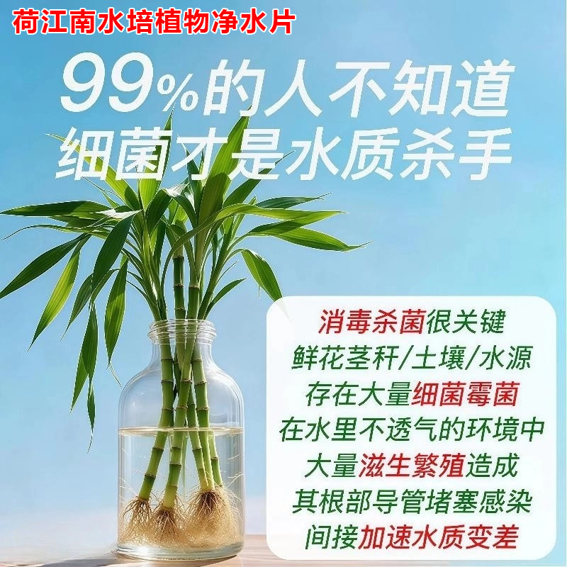水培植物净水片除臭杀菌消毒花卉保鲜剂富贵竹除藻专用净化水质,淘宝优惠券,粉丝福利购,淘宝优惠卷