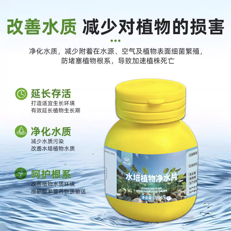 水培植物净水片除臭杀菌消毒花卉保鲜剂富贵竹除藻专用净化水质,淘宝优惠券,粉丝福利购,淘宝优惠卷