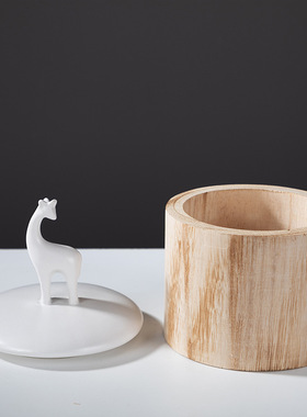 厨房样板间茶几储物罐装饰摆件