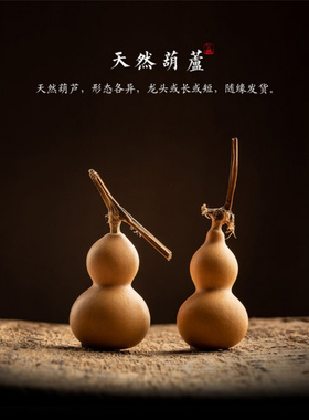 林静葫芦汽车后视镜挂件车内饰品
