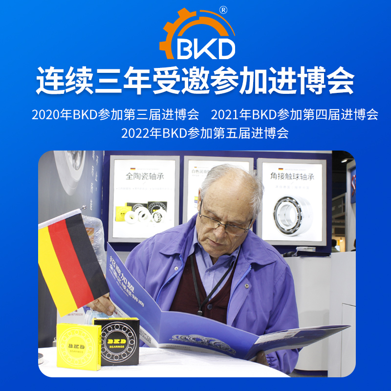 BKD德国进口轴承6201高速6202轴承型号大全6203/6204/6205/6206RS-图3