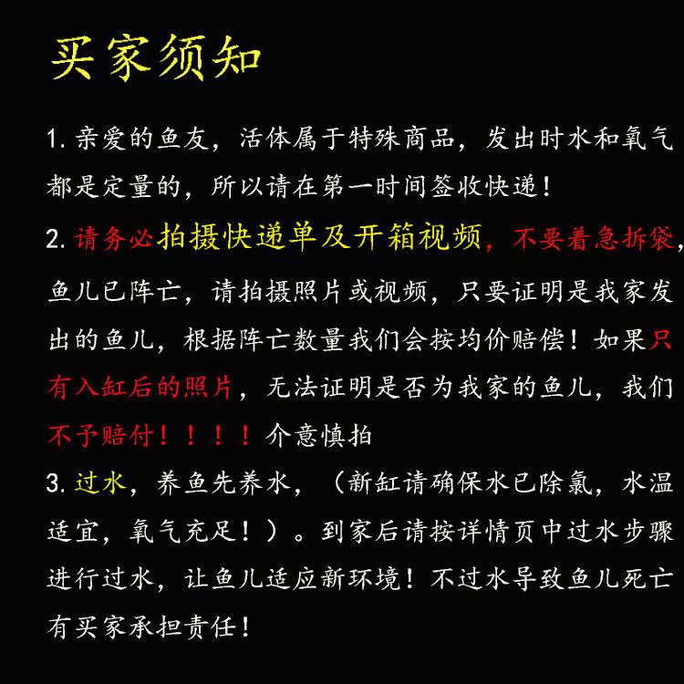 中大型热带观赏鱼套餐招财鹦鹉龙鱼元宝鹦鹉财神鹦鹉皇冠红尾活鱼 - 图2