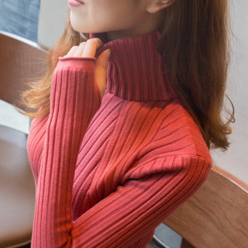高领毛衣女内搭打底衫2025秋冬新款百搭长袖上衣洋气修身针织衫 - 图0