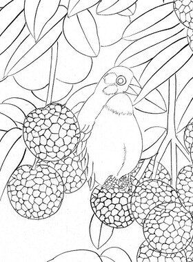 国画白描底稿工笔画荔枝花鸟画
