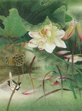 有步骤衍达工笔画白描底稿花鸟
