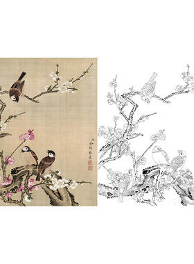有步骤王少卿工笔画白描底稿花鸟