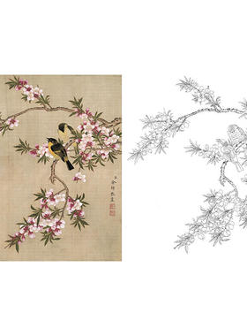 有步骤王少卿工笔画白描底稿花鸟