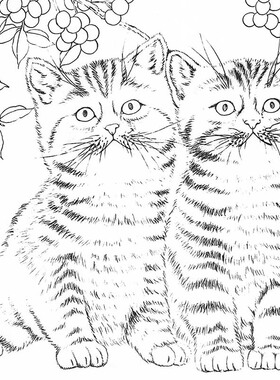 工笔画白描底稿牡丹花斗方
