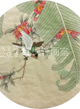 扇面山茶花双鸽野菊手绘稿国画