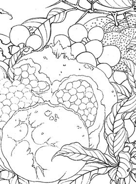 有步骤花鸟工笔画白描底稿