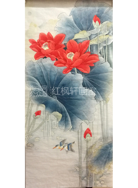 蜻蜓零基础入门可直接上色工笔画