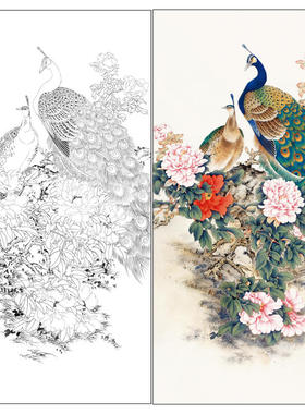 王少卿工笔画白描底稿临摹