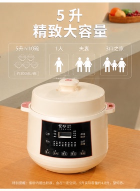 艾浦森0涂层紫砂胆5L电压力锅