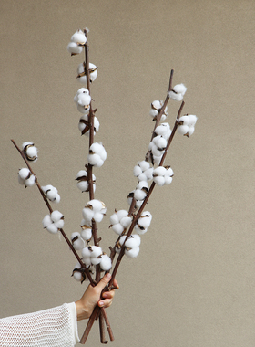 棉花干花花束仿真花带杆子