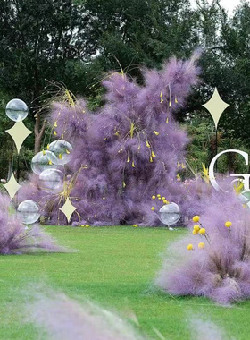 网红粉黛乱子草干花展会装饰客厅