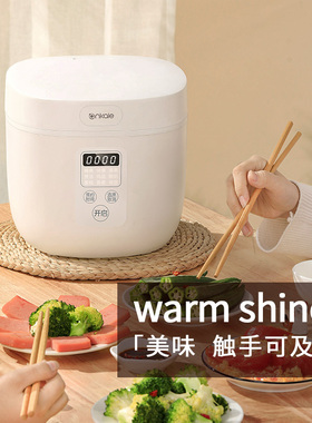 ankale智能家用迷你多功能电饭锅