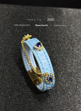 PuppyJoy独家「蓝心闪闪手环」巨型蟒蛇皮手环高级手工定制