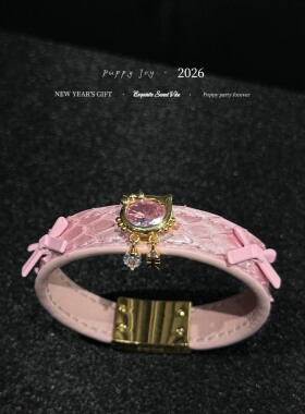 PuppyJoy独家「小鱼干」巨型蟒蛇皮手环高级手工定制