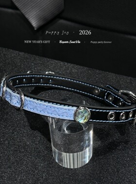 PuppyJoy独家「粉蓝灵仙」蛇皮choker项圈高级手工定制