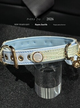 PuppyJoy独家「天空信笺」蜥蜴皮chocker项圈高级手工定制