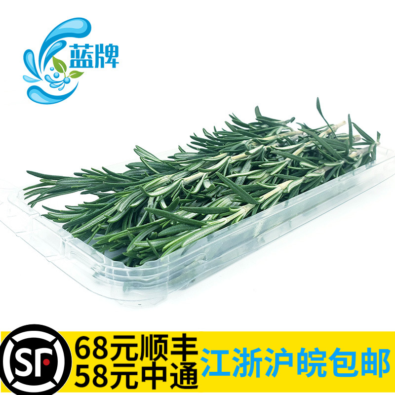 【蓝牌】新鲜迷迭香15公分左右Rosemary 新鲜蔬菜 新鲜香料 15根